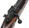 S&T Kar98k