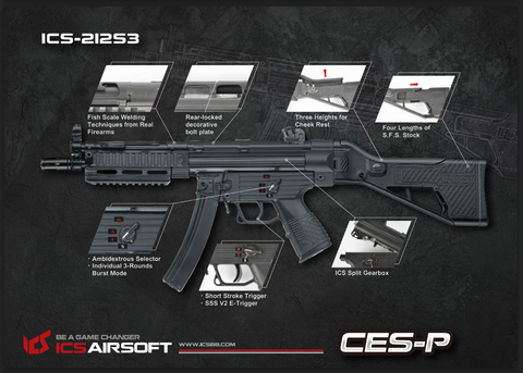 ICS CES-P MS1 S3（SFS 库存） 