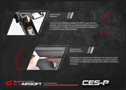 ICS CES-P MS1 S3 (SFS Stock)
