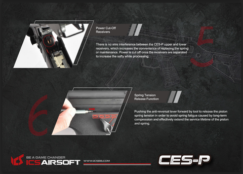 ICS CES-P MS1 S3（SFS 库存） 