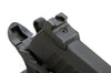SRC Silent Hawk CO2 - 2023 Special Edition