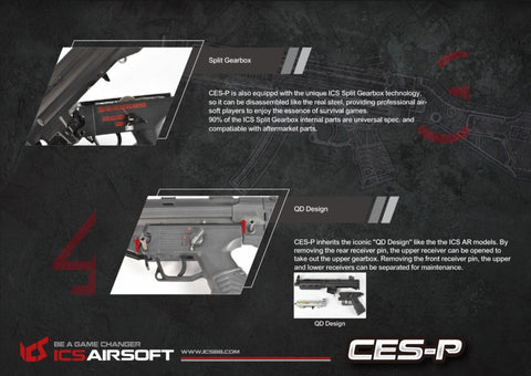 ICS CES-P MS1 S3（SFS 库存） 