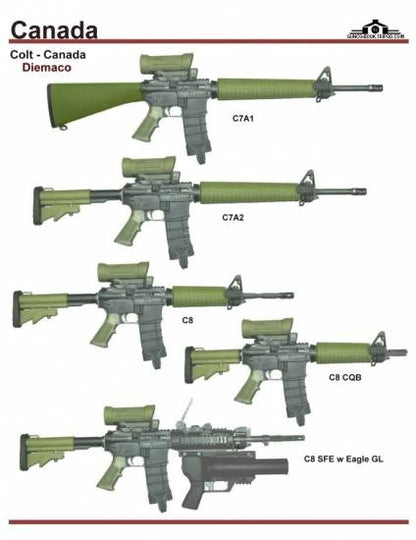 Holy Warrior 4x45mm Elcan Replica (C79 model)